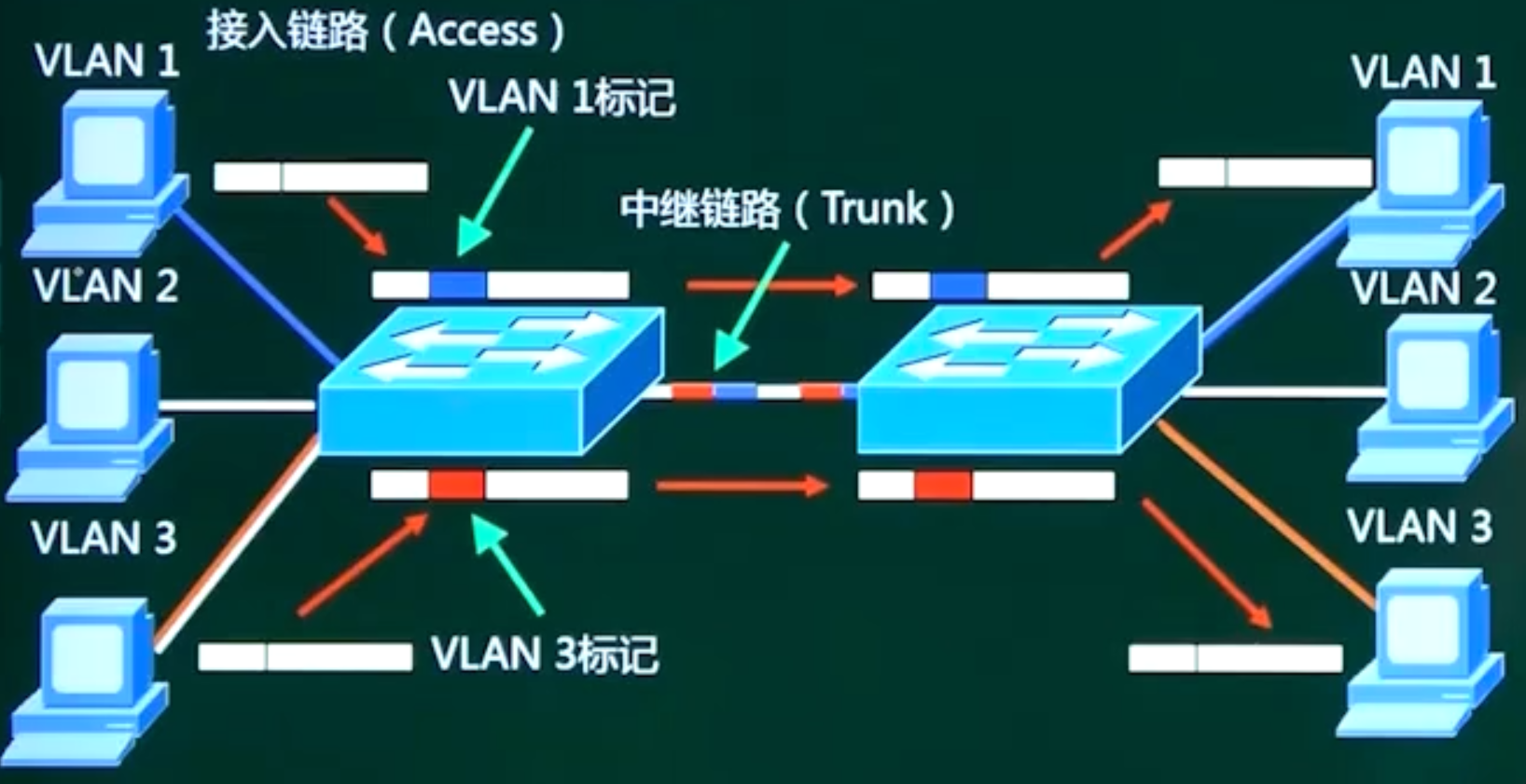 trunk.png